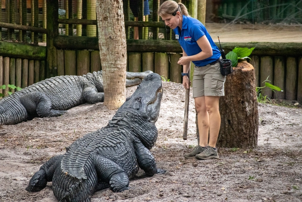 St. Augustine Alligator Farm